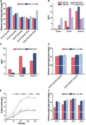 Engineered Polyploid Yeast Strains Enable Efficient Xylose Utilization and Ethanol Production in Corn Hydrolysates